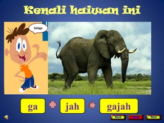 Kenali haiwan ini
 Ketiga




ga        jah   gajah
                 Back   Home   Next
 