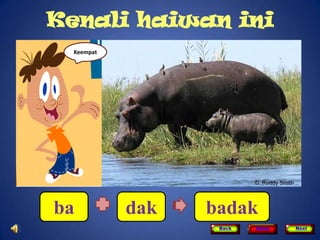 Kenali haiwan ini
  Keempat




ba          dak   badak
                   Back   Home   Next
 