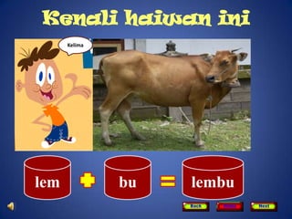 Kenali haiwan ini
      Kelima




lem            bu   lembu
                    Back   Home   Next
 