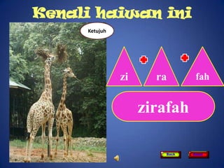 Kenali haiwan ini
     Ketujuh




               zi     ra       fah


                    zirafah

                       Back   Home
 
