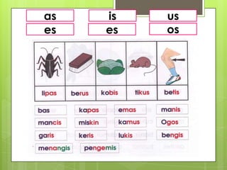 as   is   us
es   es   os
 