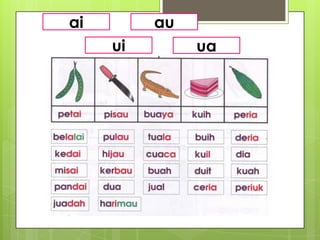 ai        au
     ui        ua
 