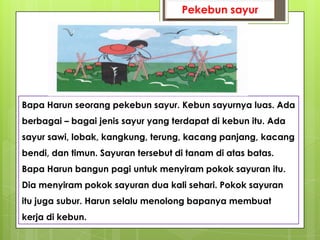 Pekebun sayur




Bapa Harun seorang pekebun sayur. Kebun sayurnya luas. Ada
berbagai – bagai jenis sayur yang terdapat di kebun itu. Ada
sayur sawi, lobak, kangkung, terung, kacang panjang, kacang
bendi, dan timun. Sayuran tersebut di tanam di atas batas.
Bapa Harun bangun pagi untuk menyiram pokok sayuran itu.
Dia menyiram pokok sayuran dua kali sehari. Pokok sayuran
itu juga subur. Harun selalu menolong bapanya membuat
kerja di kebun.
 