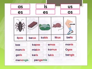 as   is   us
es   es   os
 