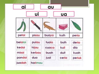 ai        au
     ui        ua
 