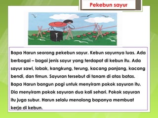 Pekebun sayur




Bapa Harun seorang pekebun sayur. Kebun sayurnya luas. Ada
berbagai – bagai jenis sayur yang terdapat di kebun itu. Ada
sayur sawi, lobak, kangkung, terung, kacang panjang, kacang
bendi, dan timun. Sayuran tersebut di tanam di atas batas.
Bapa Harun bangun pagi untuk menyiram pokok sayuran itu.
Dia menyiram pokok sayuran dua kali sehari. Pokok sayuran
itu juga subur. Harun selalu menolong bapanya membuat
kerja di kebun.
 