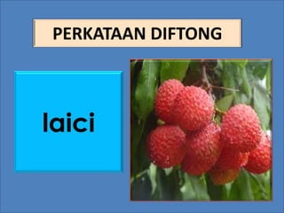 Mari belajar perkataan diftong | PDF
