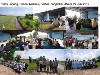 Temu Lapang, Rantau Makmur, Berbak, Tanjabtim, Jambi, 22 Juni 2012

 