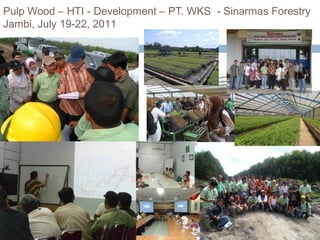 Pulp Wood – HTI - Development – PT. WKS - Sinarmas Forestry
Jambi, July 19-22, 2011

 