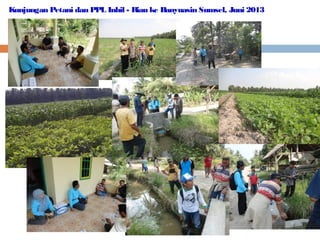 Kunjungan Petani dan PPL Inhil - Riau ke Banyuasin Sumsel, Juni 2013

 