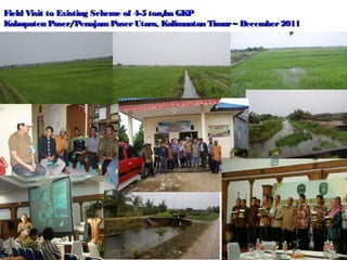 Field Visit to Existing Scheme of 4-5 ton/ GKP
ha
Kabupaten Paser/Penajam Paser Utara, Kalimantan Timur – December 2011

 