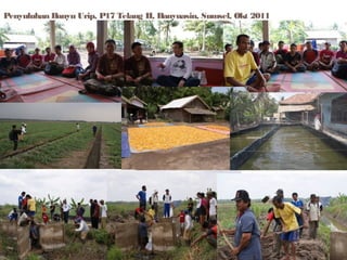 Penyuluhan Banyu Urip, P17 Telang II, Banyuasin, Sumsel, Okt 2011

 