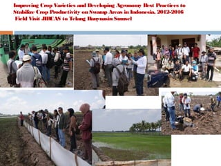 Improving Crop Varieties and Developing Agronomy Best Practices to
Stabilize Crop Productivity on Swamp Areas in Indonesia, 2012-2016
Field Visit JIRCAS to Telang Banyuasin Sumsel

 