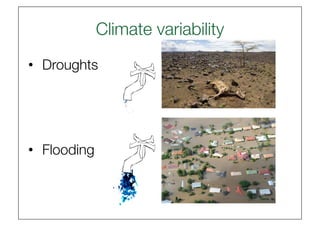Climate variability
                             
•  Droughts




•  Flooding
 