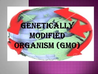 GENETICALLY MODIFIED ORGANISM (GMO)  