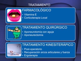 TRATAMIENTO
FARMACOLÓGICO
• Vitamina E
• Corticoterapia Local


TRATAMIENTO QUIRÚRGICO
• Aponeurotomía con aguja
• Aponeurectomía


TRATAMIENTO KINESITERÁPICO
• Post-operatorio
• Recuperación arcos articulares y fuerza
• Ergoterapia
 