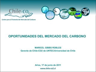 OPORTUNIDADES DEL MERCADO DEL CARBONO


                  MARICEL GIBBS ROBLES
     Gerente de Chile-CO2 de UNTEC/Universidad de Chile




                  Arica, 17 de junio de 2011
 