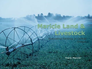 Maricle Land & Livestock Innovative Farming in Central Oregon Frank Maricle 