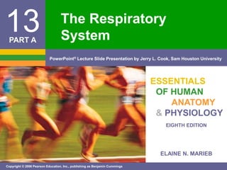 PowerPoint® Lecture Slide Presentation by Jerry L. Cook, Sam Houston University 
EIGHTH EDITION 
ELAINE N. MARIEB 
13 
Copyright © 2006 Pearson Education, Inc., publishing as Benjamin Cummings 
ESSENTIALS 
OF HUMAN 
ANATOMY 
& PHYSIOLOGY 
PART A 
The Respiratory 
System 
 