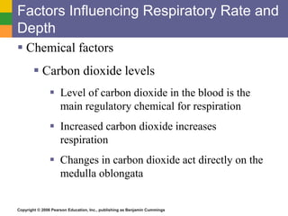 Factors Influencing Respiratory Rate and 
Depth 
 Chemical factors 
 Carbon dioxide levels 
 Level of carbon dioxide in the blood is the 
main regulatory chemical for respiration 
 Increased carbon dioxide increases 
respiration 
 Changes in carbon dioxide act directly on the 
medulla oblongata 
Copyright © 2006 Pearson Education, Inc., publishing as Benjamin Cummings 
 