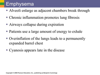 Emphysema 
 Alveoli enlarge as adjacent chambers break through 
 Chronic inflammation promotes lung fibrosis 
 Airways collapse during expiration 
 Patients use a large amount of energy to exhale 
 Overinflation of the lungs leads to a permanently 
expanded barrel chest 
 Cyanosis appears late in the disease 
Copyright © 2006 Pearson Education, Inc., publishing as Benjamin Cummings 
 