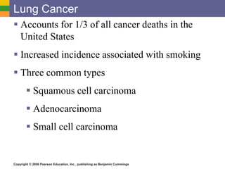 Lung Cancer 
 Accounts for 1/3 of all cancer deaths in the 
United States 
 Increased incidence associated with smoking 
 Three common types 
 Squamous cell carcinoma 
 Adenocarcinoma 
 Small cell carcinoma 
Copyright © 2006 Pearson Education, Inc., publishing as Benjamin Cummings 
 