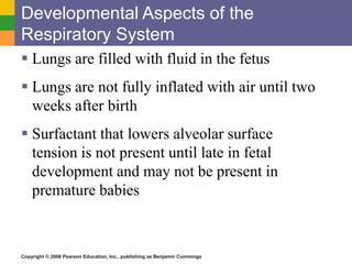 Developmental Aspects of the 
Respiratory System 
 Lungs are filled with fluid in the fetus 
 Lungs are not fully inflated with air until two 
weeks after birth 
 Surfactant that lowers alveolar surface 
tension is not present until late in fetal 
development and may not be present in 
premature babies 
Copyright © 2006 Pearson Education, Inc., publishing as Benjamin Cummings 
 