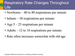 Respiratory Rate Changes Throughout 
Life 
 Newborns – 40 to 80 respirations per minute 
 Infants – 30 respirations per minute 
 Age 5 – 25 respirations per minute 
 Adults – 12 to 18 respirations per minute 
 Rate often increases somewhat with old age 
Copyright © 2006 Pearson Education, Inc., publishing as Benjamin Cummings 
