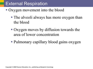 External Respiration 
 Oxygen movement into the blood 
 The alveoli always has more oxygen than 
the blood 
 Oxygen moves by diffusion towards the 
area of lower concentration 
 Pulmonary capillary blood gains oxygen 
Copyright © 2006 Pearson Education, Inc., publishing as Benjamin Cummings 
 