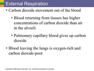 External Respiration 
 Carbon dioxide movement out of the blood 
 Blood returning from tissues has higher 
concentrations of carbon dioxide than air 
in the alveoli 
 Pulmonary capillary blood gives up carbon 
dioxide 
 Blood leaving the lungs is oxygen-rich and 
carbon dioxide-poor 
Copyright © 2006 Pearson Education, Inc., publishing as Benjamin Cummings 
 
