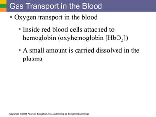 Gas Transport in the Blood 
 Oxygen transport in the blood 
 Inside red blood cells attached to 
hemoglobin (oxyhemoglobin [HbO2]) 
 A small amount is carried dissolved in the 
plasma 
Copyright © 2006 Pearson Education, Inc., publishing as Benjamin Cummings 
 
