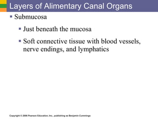 Layers of Alimentary Canal Organs Submucosa Just beneath the mucosa Soft connective tissue with blood vessels, nerve endings, and lymphatics 