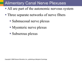 Alimentary Canal Nerve Plexuses All are part of the autonomic nervous system Three separate networks of nerve fibers Submucosal nerve plexus Myenteric nerve plexus Subserous plexus 