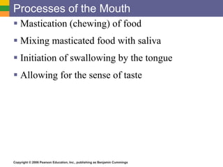 Processes of the Mouth Mastication (chewing) of food Mixing masticated food with saliva Initiation of swallowing by the tongue Allowing for the sense of taste 