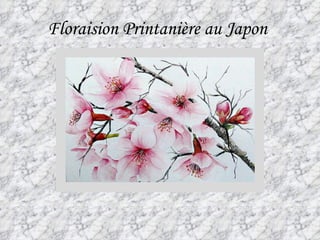 Floraision Printanière au Japon   