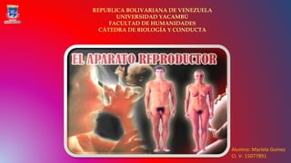 Alumno: Mariela Gomez
CI. V- 15077891
REPUBLICA BOLIVARIANA DE VENEZUELA
UNIVERSIDAD YACAMBÚ
FACULTAD DE HUMANIDADES
CÁTEDRA DE BIOLOGÍA Y CONDUCTA
 