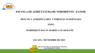 ESCUELA DE AGRICULTURA DE NORORIENTE –EANOR-
PRÁCTICA AGROPECUARIA Y FORESTAL SUPERVISADA
-PAFS-
ZACAPA, NOVIEMBRE DE 2023
MARROQUIN BALAN MARIELA GUADALUPE
 