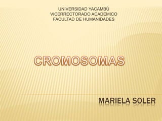 MARIELA SOLER
UNIVERSIDAD YACAMBÙ
VICERRECTORADO ACADEMICO
FACULTAD DE HUMANIDADES
 