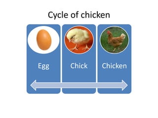 Cycle of chicken




Egg    Chick   Chicken
 