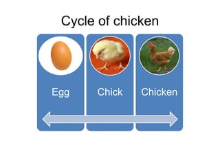Cycle of chicken




Egg   Chick   Chicken
 