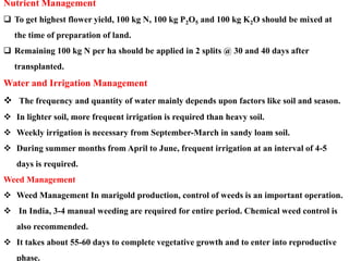 Nutrient Management
 To get highest flower yield, 100 kg N, 100 kg P2O5 and 100 kg K2O should be mixed at
the time of pre...