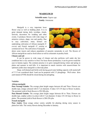 PoPFloricultureCropsSKUAST-Jammu2020
1
MARIGOLD
Scientific name: Tagetes spp.
Family: Asteraceae
Marigold is a very important loose
flower crop as well as bedding plant. It is in
great demand during daily worships, rituals,
festivals, decoration for wedding and other
events. It produces flowers with wide range of
attractive colours, shape, size and quality. Due
to easy cultivation, many farmers are
undertaking cultivation of African marigold (T.
erecta) and French marigold (T. patula) at
commercial level. The cultivation of marigold
deters some insects and reduces population of parasitic nematodes in soil. The flowers of
African marigold are used as food colour as well as colourants in poultry feeds.
Climate and soil
It can be grown in wide range of climate and also performs well under dry hot
conditions but is very sensitive to frost. For loose flower production, it can be grown round the
year in Jammu region. The common practice is to grow marigold during winter and spring in
plains and summer in mid hills. It is important to match varieties with season/climate for
optimum yields since marigold is a short day plant.
Deep, well drained and fertile soils having good water holding capacity with neutral pH
of 7-7.5 are considered ideal. Land can be prepared with 2-3 ploughings. Well rotten farm
yard manure (FYM) should be mixed during last ploughing.
Varieties
African marigold:
Pusa Narangi Gainda: The average plant height ranges between 60 and 70cm. Flowers are
double type, orange coloured with 6-7 cm diameter. It takes 125-135 days to flower in plains.
The potential yield of fresh flowers is 250-300 q/ha.
Pusa Basanti Gainda: The average plant height ranges between 60 to 70cm. Flowers are
double type, sulphur yellow in colour with 6-7 cm diameter. It takes 135-145 days to flower in
plains. The potential yield of fresh flowers is 200-250 q/ha.
French marigold:
Pusa Arpita: Deep orange colour variety suitable for planting during rainy season in
plains/low hills. The variety flowers during December to January.
 
