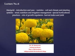Marigold - introduction and uses – varieties - soil and climate and planting
systems - weed, nutrition and irrigation management –special horticultural
practices - role of growth regulators- harvest index and yield
Dr. M. Kumaresan
Assistant professor
Dept. of Horticulture
Adhiparasakthi Horticultural College
Lecture No.:6
 
