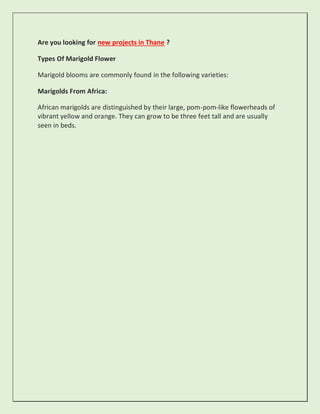 Are you looking for new projects in Thane ?
Types Of Marigold Flower
Marigold blooms are commonly found in the following varieties:
Marigolds From Africa:
African marigolds are distinguished by their large, pom-pom-like flowerheads of
vibrant yellow and orange. They can grow to be three feet tall and are usually
seen in beds.
 