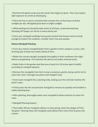 • Remove the plastic wrap once the seeds have begun to grow. They now require
light exposure to continue developing.
• Place the tray or pot in a location that receives four to five hours of direct
sunlight per day. Marigolds grow best in bright sunlight.
• While potting mix should be kept moist at all times, avoid overwatering.
Damping-off fungus can thrive in overly damp soil.
• Once your marigold seedlings have grown several new leaves and are sturdy
enough to endure the outdoors, transfer them into your garden.
Mature Marigold Planting:
• If you buy mature marigold plants from a garden centre, prepare a sunny, well-
draining spot at least two weeks ahead of time.
• Water the nursery-bought marigolds thoroughly in their containers the night
before transplanting. This hydrates the plants and makes removal easier.
• Make holes in the garden bed that are at least 8 to 10 inches apart (modify
according to marigold species).
• Remove the marigolds from their nursery containers gently, being careful not to
injure the roots. Untangle any plants with tangled roots.
• Insert each marigold into a planting hole, making sure the soil level reaches the
plant's stem.
• Firmly press the dirt around each marigold to remove air pockets and establish a
stable planting base.
• After planting, thoroughly water each marigold to allow moisture to reach the
roots.
• Marigold Planting Season:
• Plant taller African marigold cultivars in early spring, when the danger of frost
has gone. Planting these tall marigolds early allows them more time to grow and
mature.
 