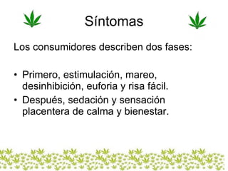 Síntomas Los consumidores describen dos fases: Primero, estimulación, mareo, desinhibición, euforia y risa fácil.  Después, sedación y sensación placentera de calma y bienestar.  