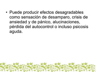 Puede producir efectos desagradables como sensación de desamparo, crisis de ansiedad y de pánico, alucinaciones, pérdida del autocontrol o incluso psicosis aguda.  