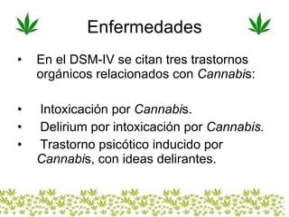 Enfermedades En el DSM-IV se citan tres trastornos orgánicos relacionados con  Cannabi s:  Intoxicación por  Cannabi s. Delirium por intoxicación por  Cannabis.  Trastorno psicótico inducido por  Cannabi s, con ideas delirantes.  