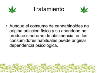 Tratamiento Aunque el consumo de cannabinoides no origina adicción física y su abandono no produce síndrome de abstinencia, en los consumidores habituales puede originar dependencia psicológica.  
