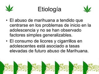El abuso de marihuana a tendido que centrarse en los problemas de inicio en la adolescencia y no se han observado factores simples generalizables.  El consumo de licores y cigarrillos en adolescentes está asociado a tasas elevadas de futuro abuso de Marihuana.  Etiología 